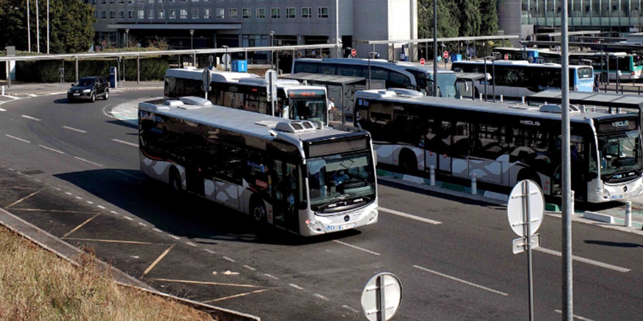 transport bus